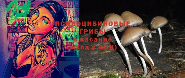мяу мяу мука Осинники