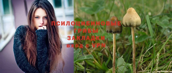 PSILOCYBIN Бабаево