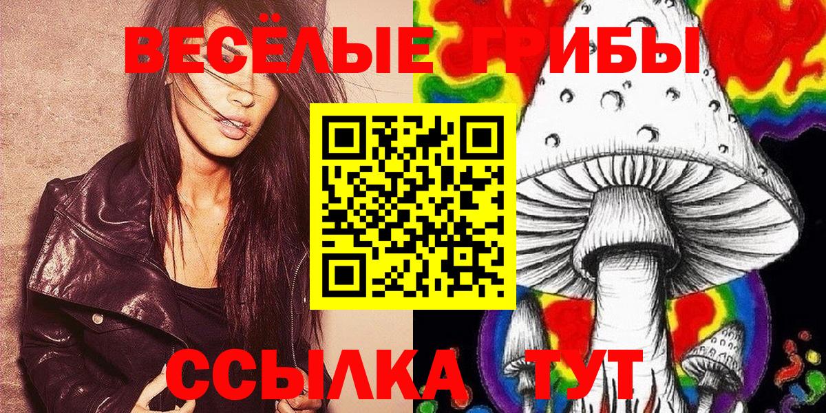 Псилоцибиновые грибы Psilocybe  Борзя 